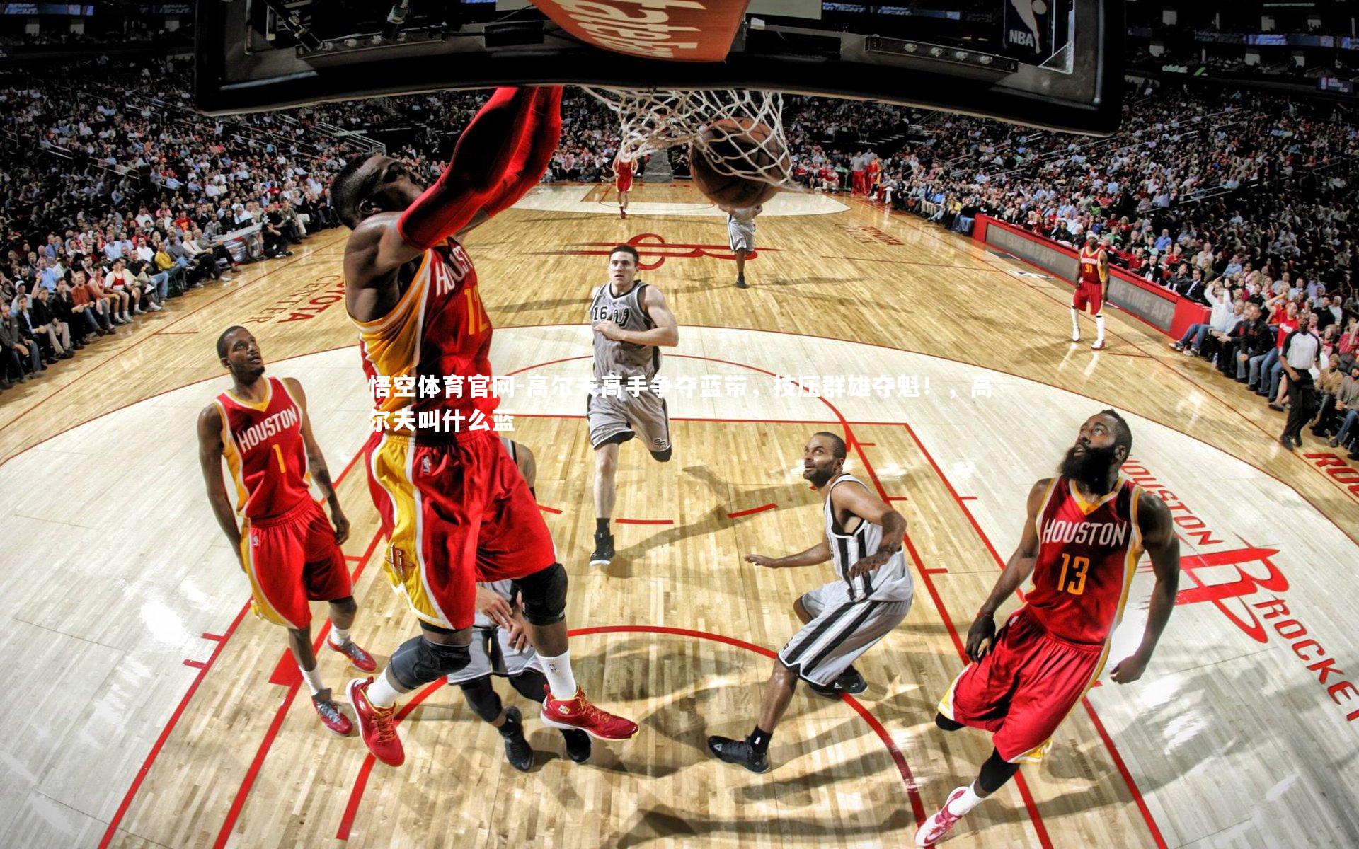 高尔夫高手争夺蓝带,技压群雄夺魁!,高尔夫叫什么蓝