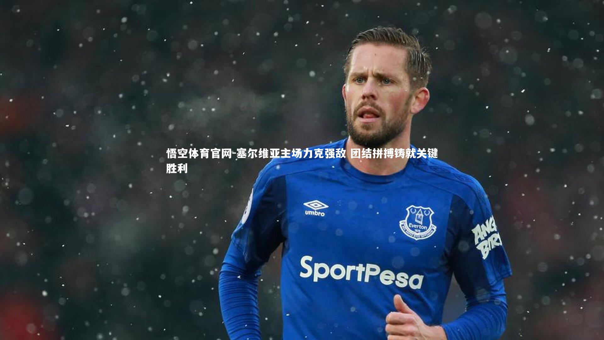 塞尔维亚主场力克强敌 团结拼搏铸就关键胜利